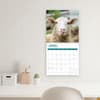 image Sheep 2025 Wall Calendar Fifth Alternate Image