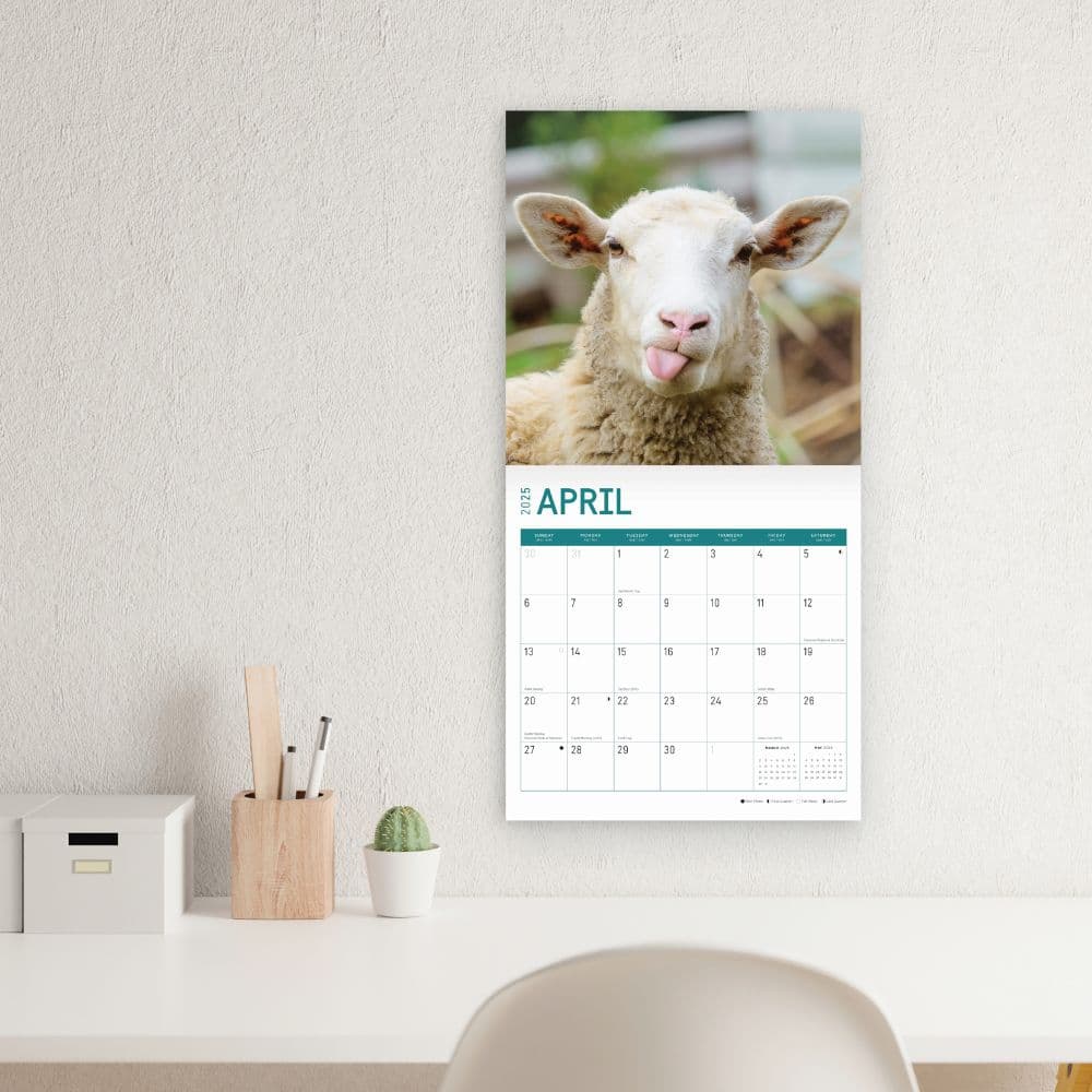 Sheep 2025 Wall Calendar Fifth Alternate Image