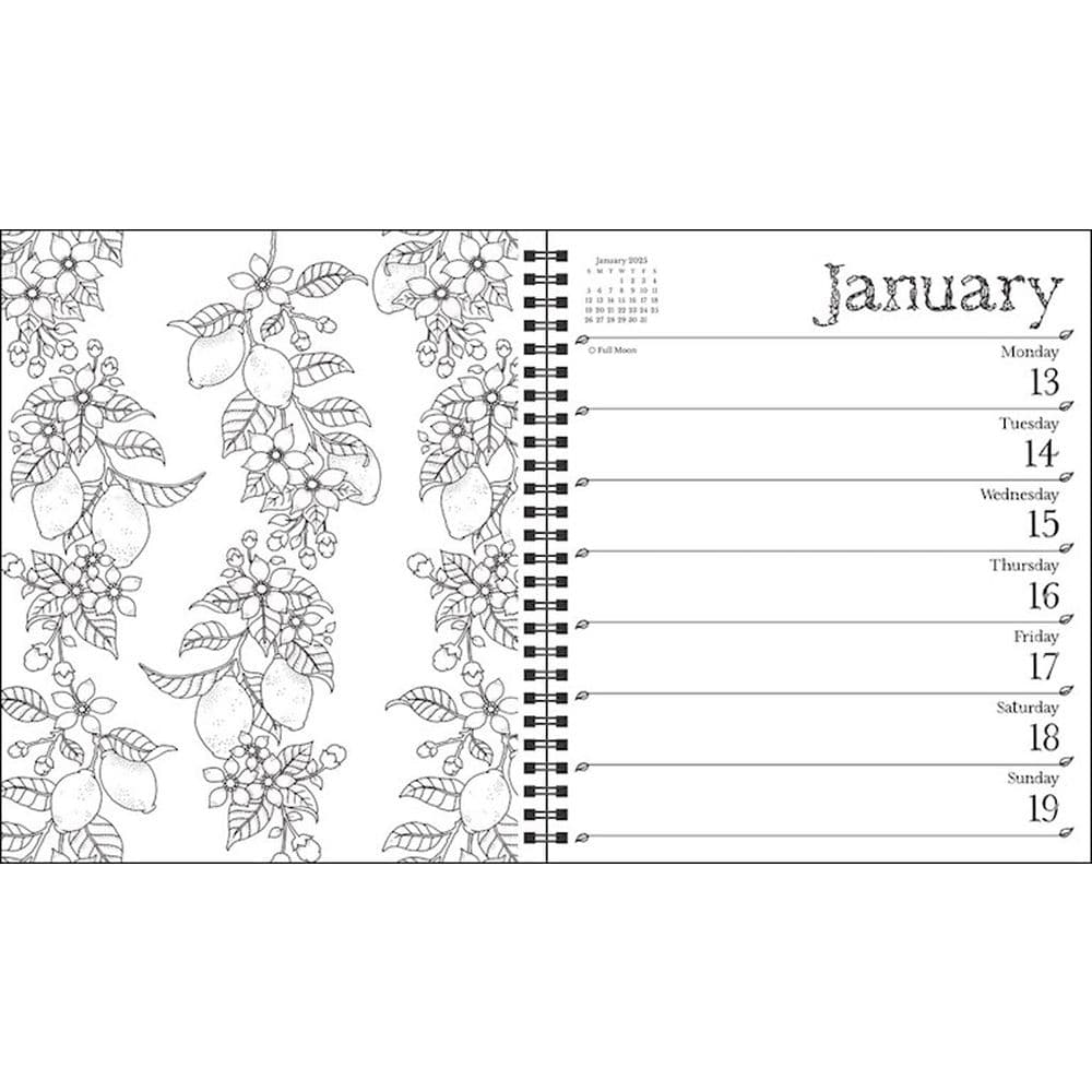 Basford 2025 Coloring Planner - Calendars.com