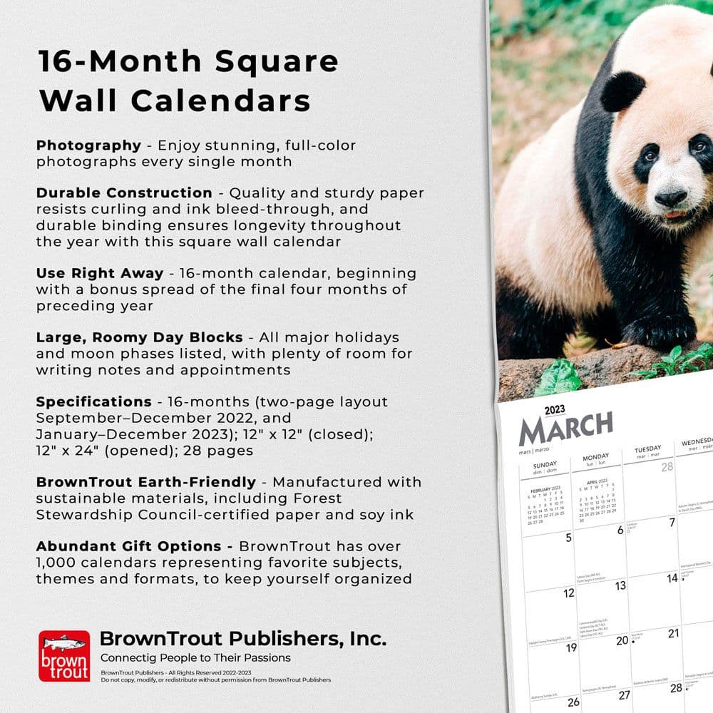 Giant Pandas 2023 Square Wall Calendar - Calendars.com