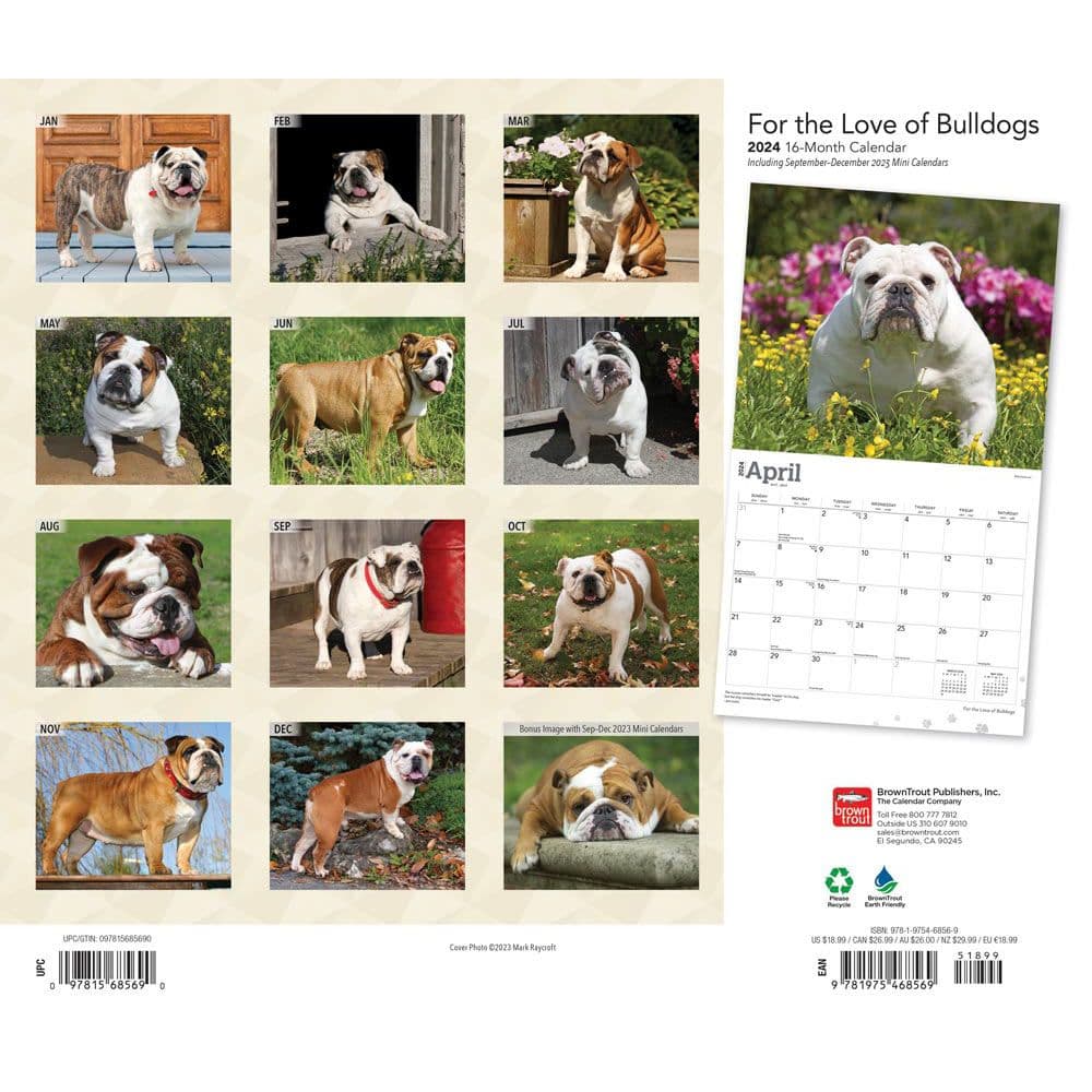 Bulldogs Deluxe 2024 Wall Calendar
