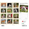 image Bulldogs Deluxe 2024 Wall Calendar First Alternate Image width=&quot;1000&quot; height=&quot;1000&quot;
