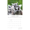 image Hugs 2026 Wall Calendar Third Alternate Image