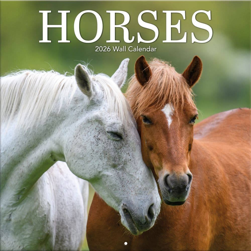 Horses Photo 2026 Wall Calendar_Main Image