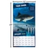 image Sharks Photo 2026 Wall Calendar