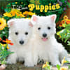 image I Love Puppies 2027 Wall Calendar Main Product Image