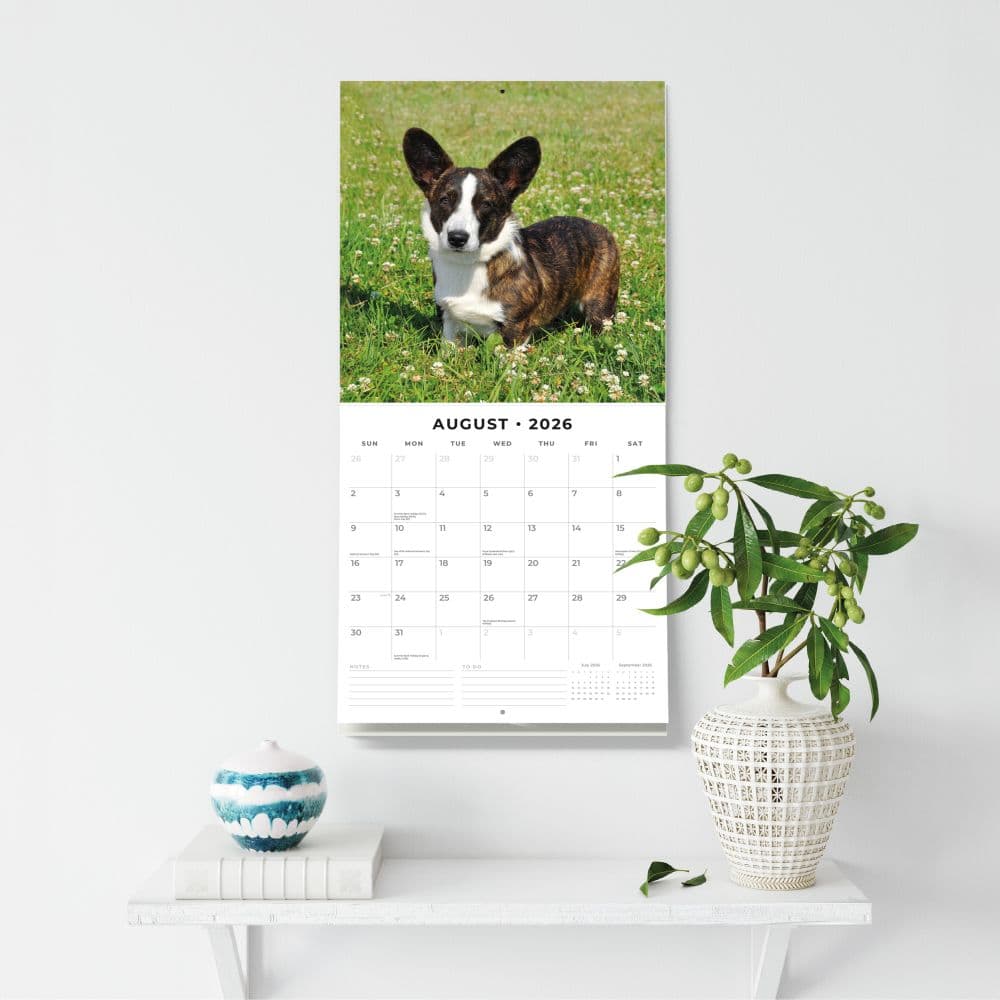 Welsh Corgis 2026 Wall Calendar Third Alternate Image