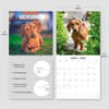 image Dachshunds 2027 Wall Calendar Third Alternate Image