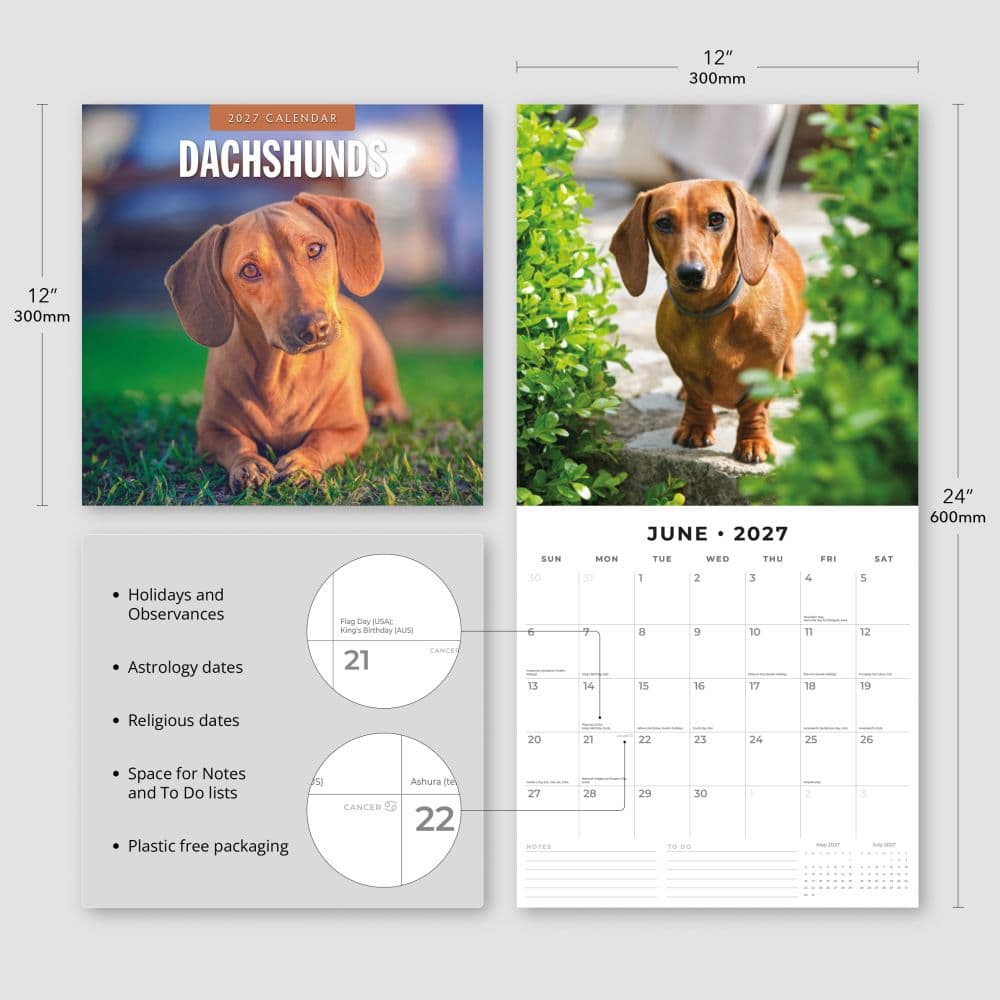 Dachshunds 2027 Wall Calendar Third Alternate Image