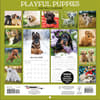 image Playful Puppies Photo 2026 Mini Wall Calendar_ALT3