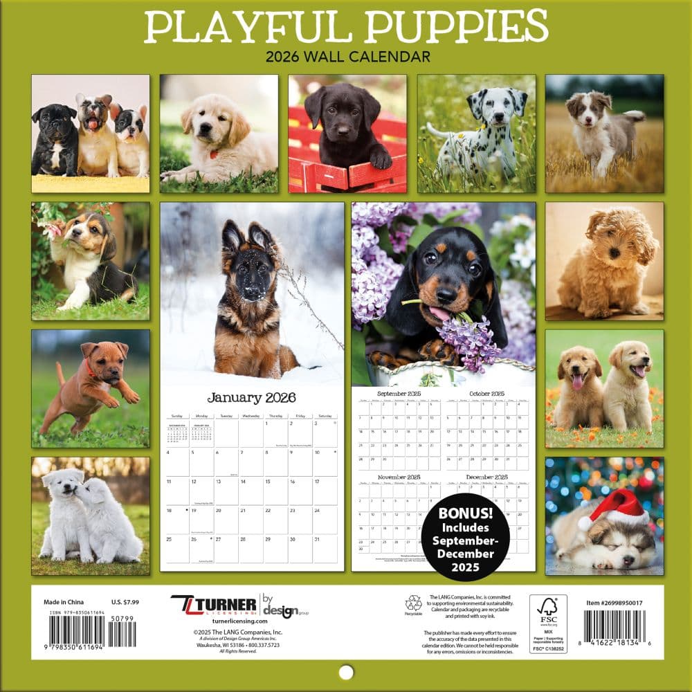 Playful Puppies Photo 2026 Mini Wall Calendar_ALT3