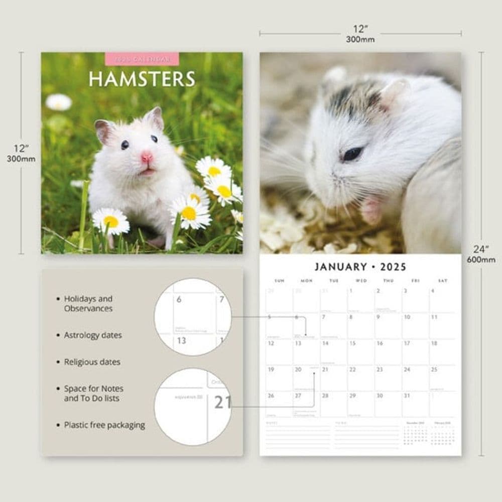 Hamsters 2025 Wall Calendar Alt3