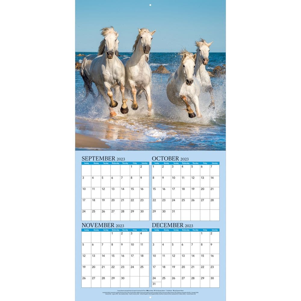 Horses Photo 2024 Wall Calendar