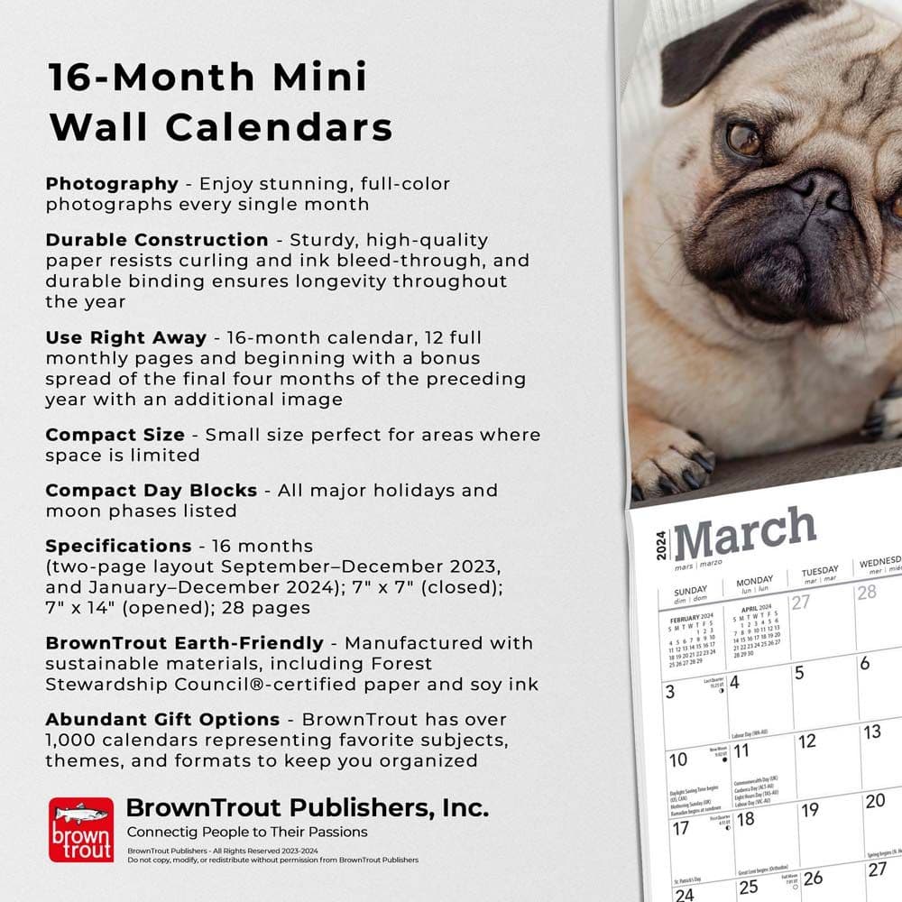 Pugs 2024 Mini Wall Calendar