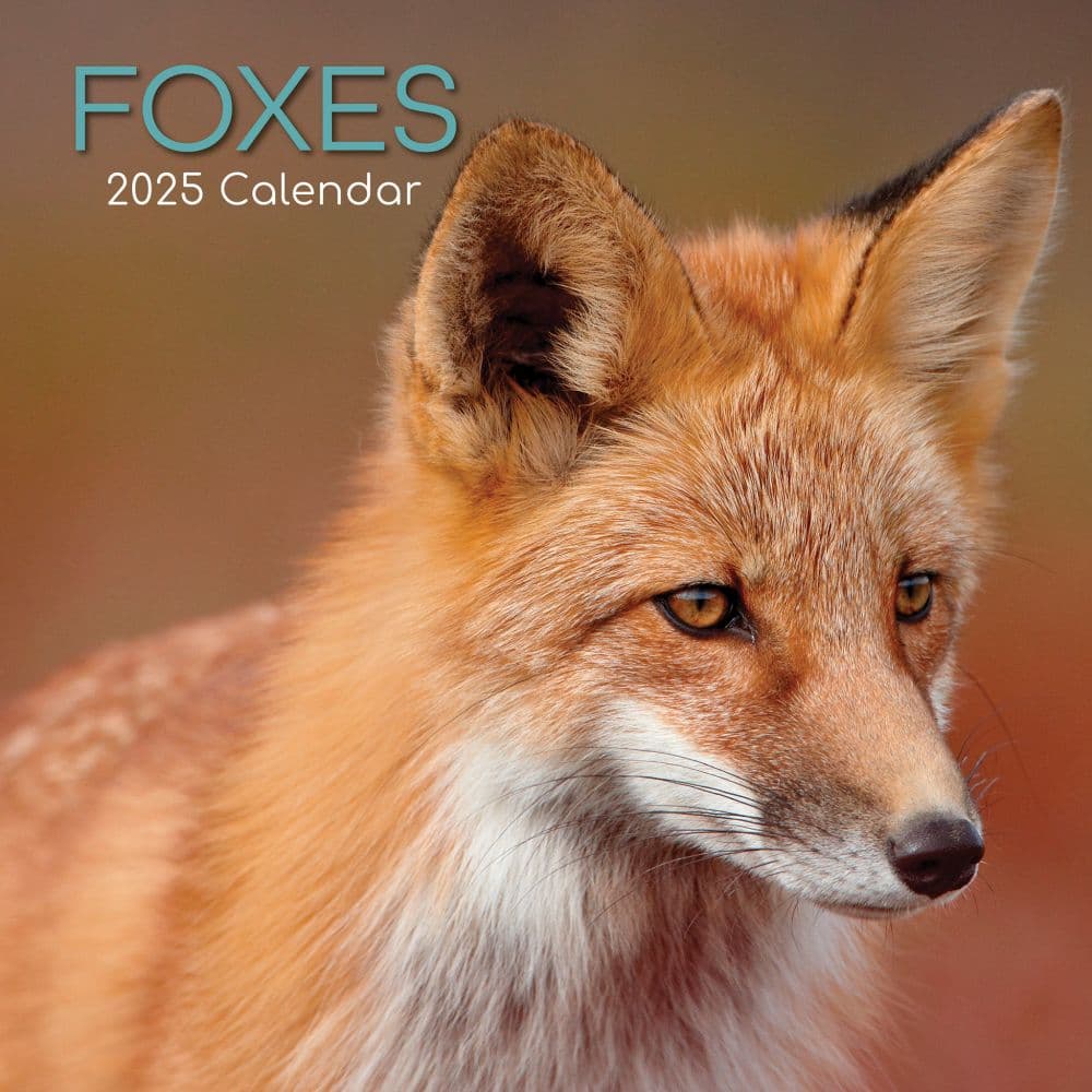 Foxes 2025 Wall Calendar