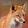 image Foxes 2025 Wall Calendar  Main Image