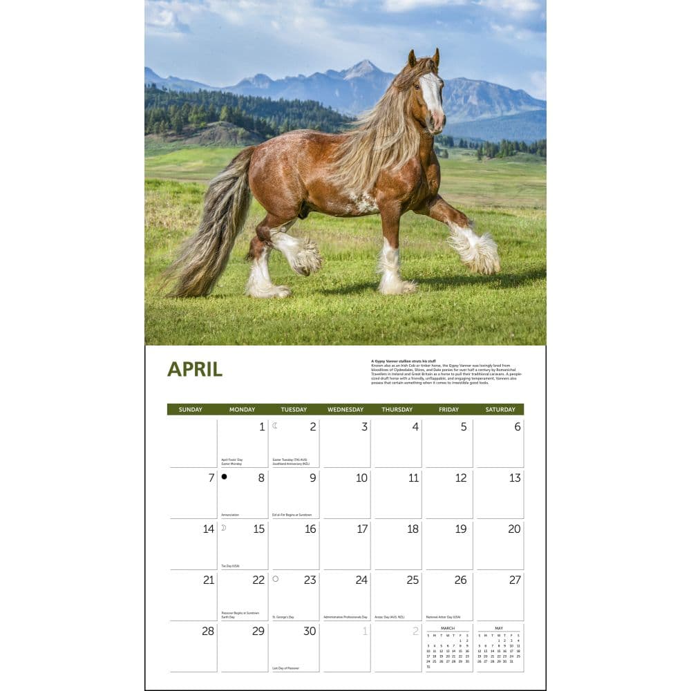 Horses Deluxe 2024 Wall Calendar