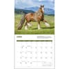 image Horses Deluxe 2024 Wall Calendar Second Alternate Image width=&quot;1000&quot; height=&quot;1000&quot;