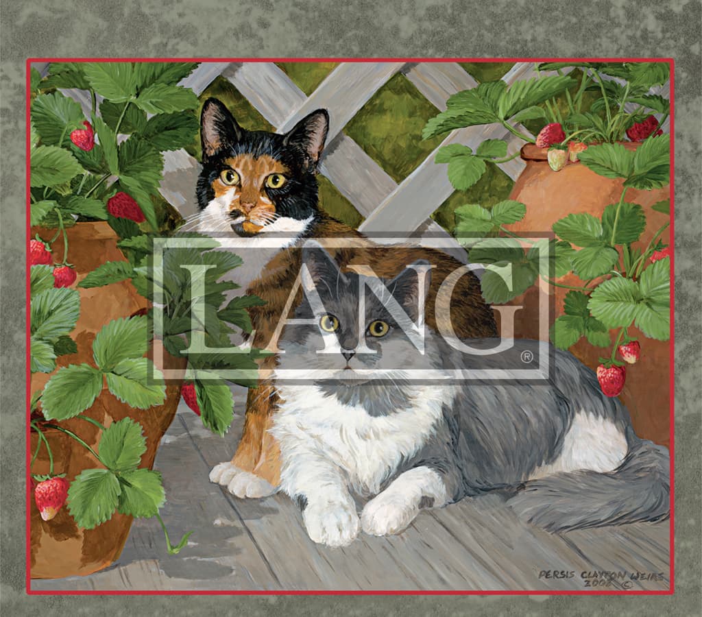 Love Of Cats 21 Desktop Wallpaper Calendars Com
