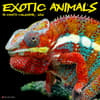 image Exotic Animals 2026 Wall Calendar