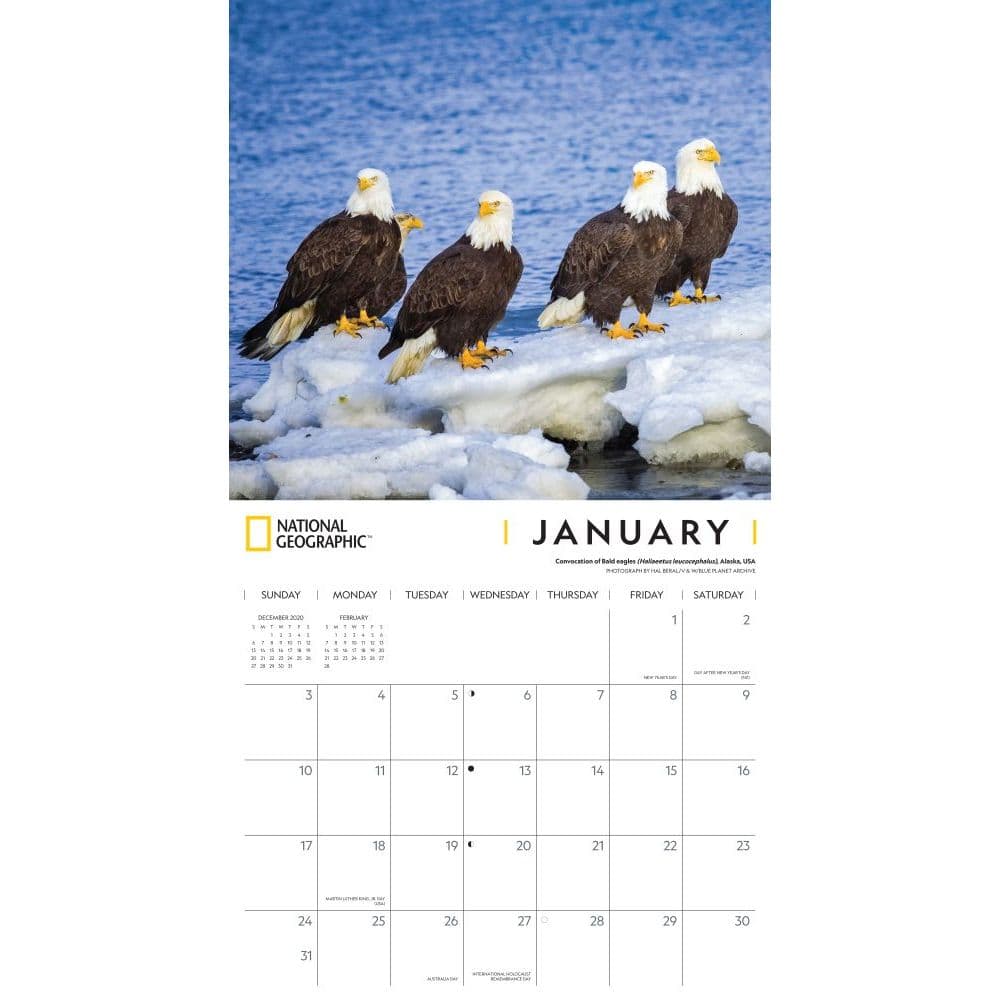 Eagles 2021 Wall Calendar Free Shipping