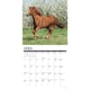 image American Quarter Horses 2026 Wall Calendar Second Alternate Image