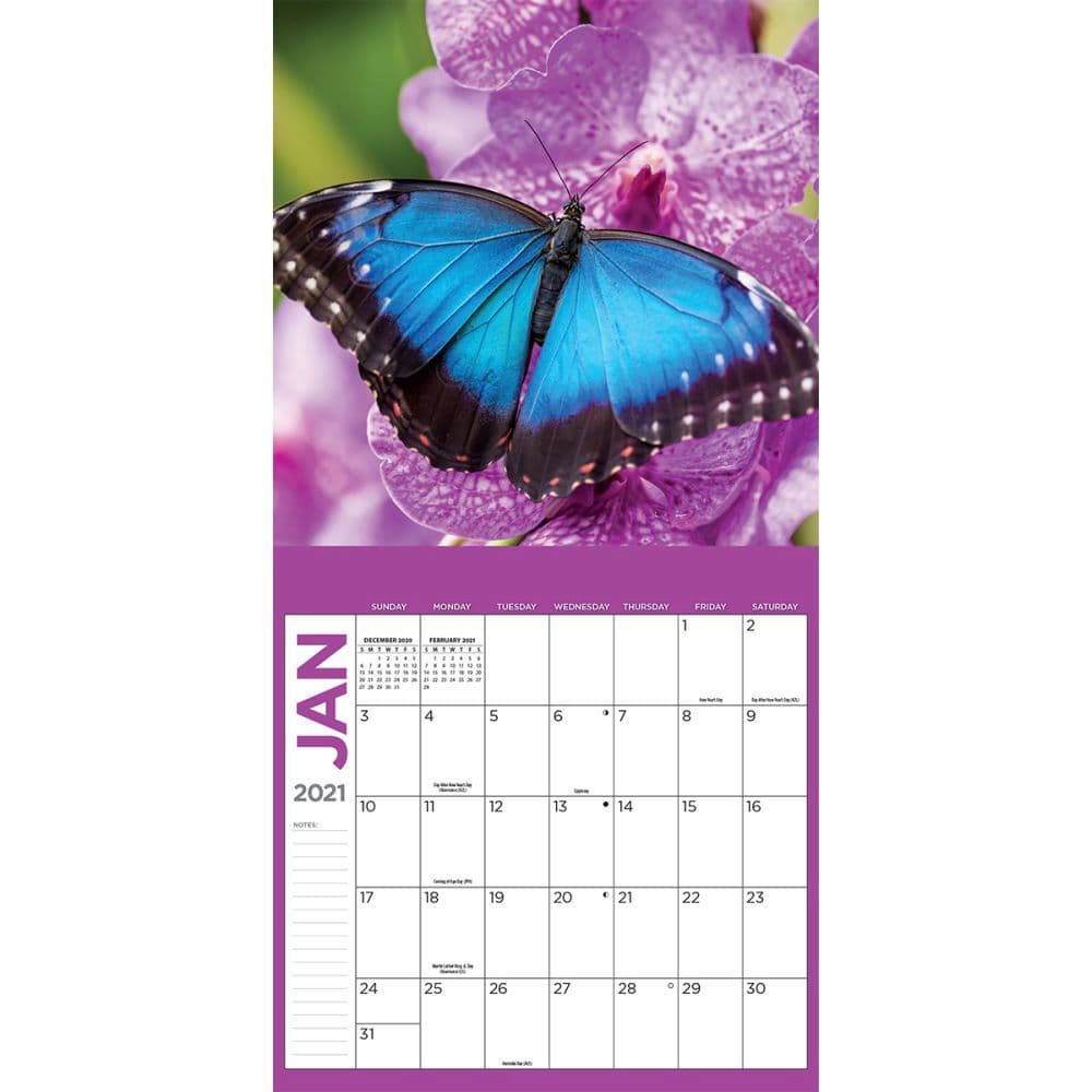 2019 Butterflies Monthly Calendar Mini 5.6x5.3 Inch Mini Small Wall Calendar 