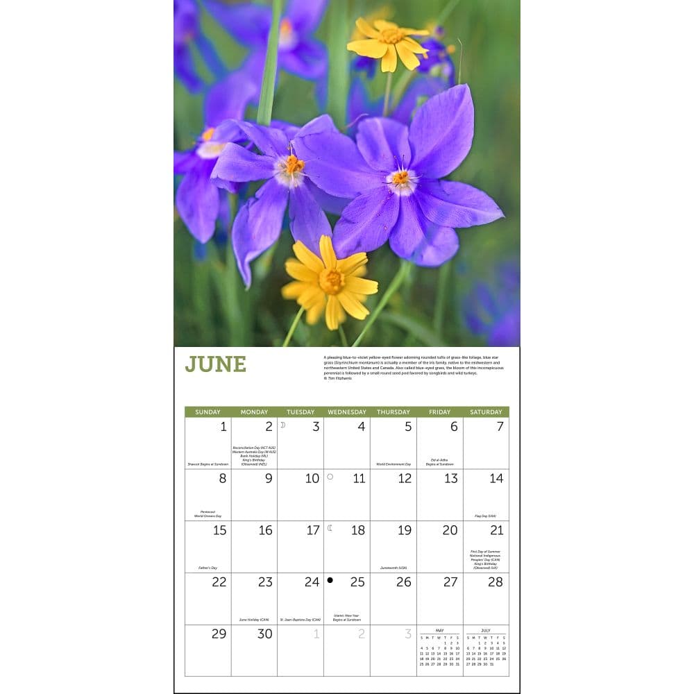 2025 Mini Calendar Wildflowers