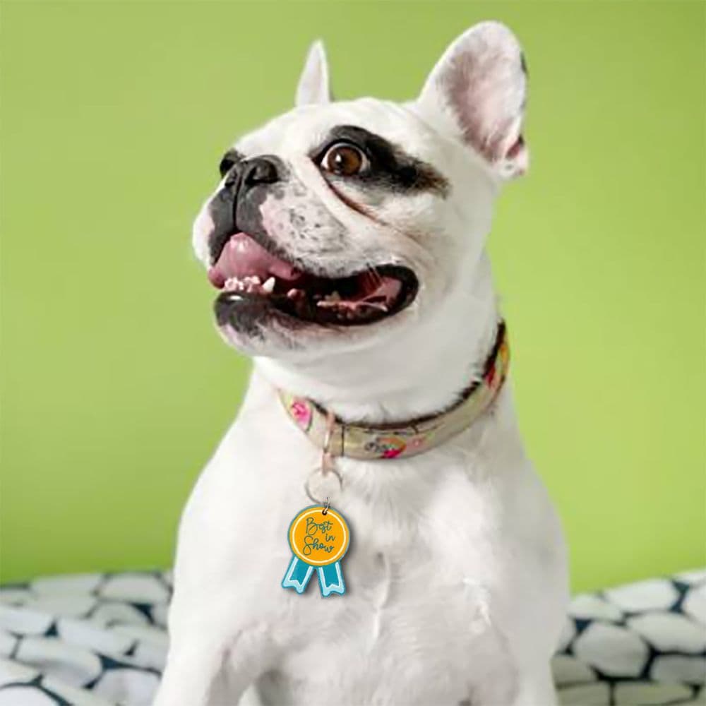 Best In Show Dog Collar Charm on a French Bulldog