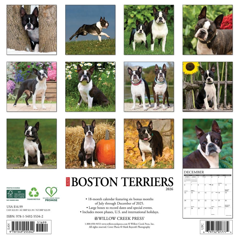 Just Boston Terriers 2026 Wall Calendar First Alternate Image