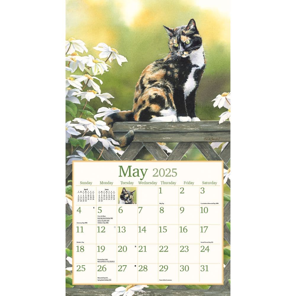 Cats in the Country by Susan Bourdet 2025 Wall Calendar