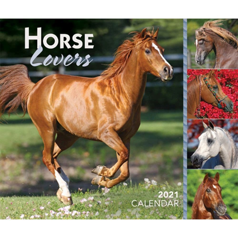 32 Best 2021 Horse Calendars Calendar Buy