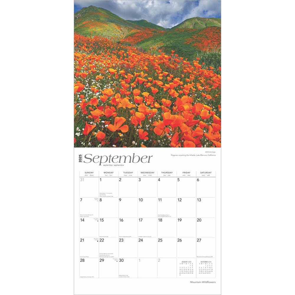 Mountain Wildflowers 2025 Wall Calendar Third Alternate Image