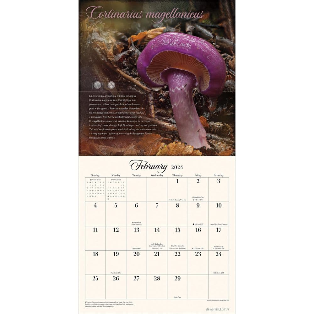 Miraculous Mushroom 2024 Wall Calendar