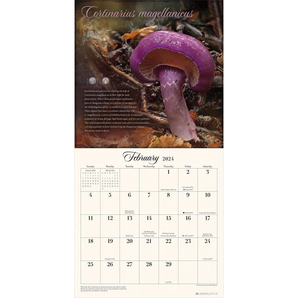 Miraculous Mushroom 2024 Wall Calendar Alt3