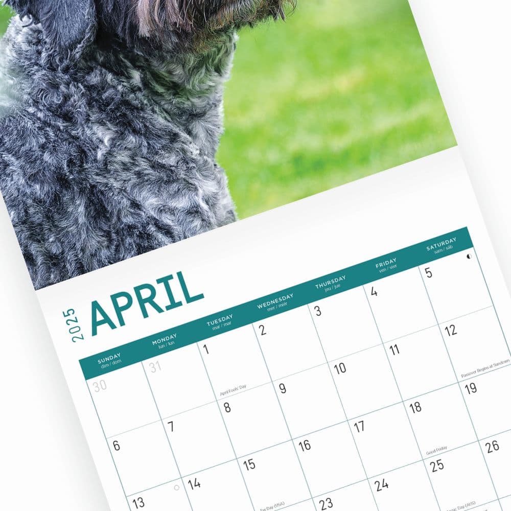 Cockapoos 2025 Wall Calendar Sixth Alternate Image