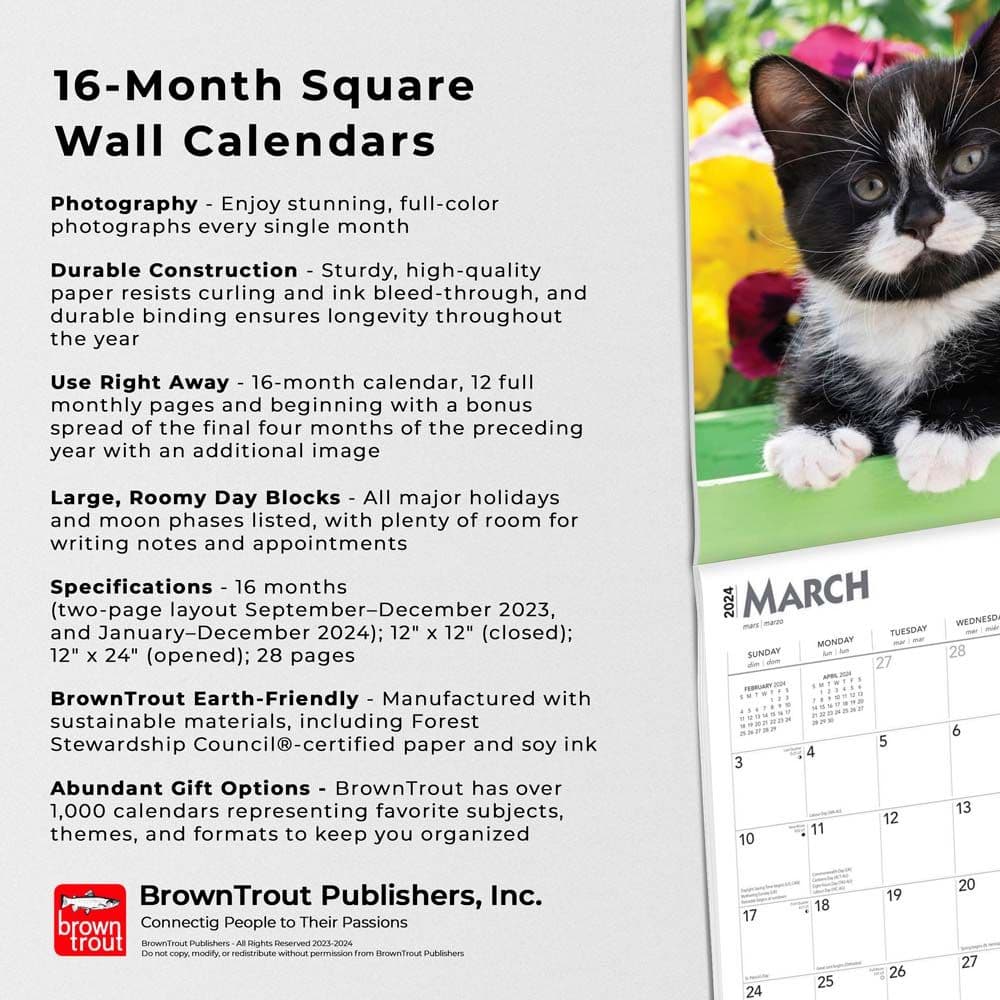 Tuxedo Cats 2024 Wall Calendar 8514