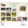 image German Shepherds Deluxe 2025 Wall Calendar First Alternate Image