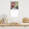 image Cacti and Succulents 2025 Wall Calendar