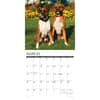 image Just Boxers 2026 Wall Calendar Second Alternate Image
