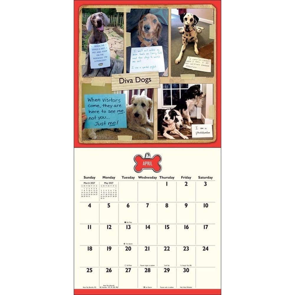 Dog Shaming 2027 Wall Calendar Fifth Alternate Image