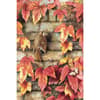 image Happy Harvest Outdoor Flag-Mini - 12 x 18 by Marjolein Bastin Main Image