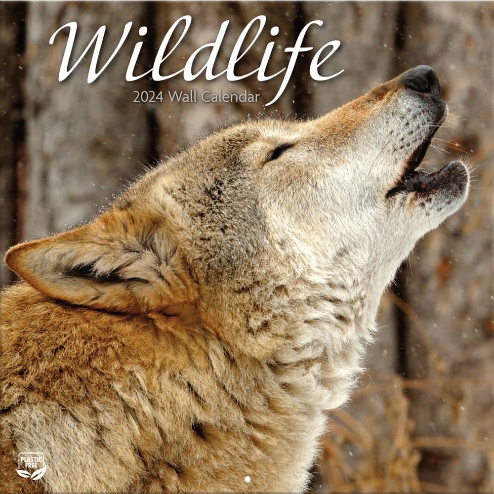 Wildlife 2024 Wall Calendar Calendars Com   A7f778da 1390 4e0d A44a D41d9fb1eae9