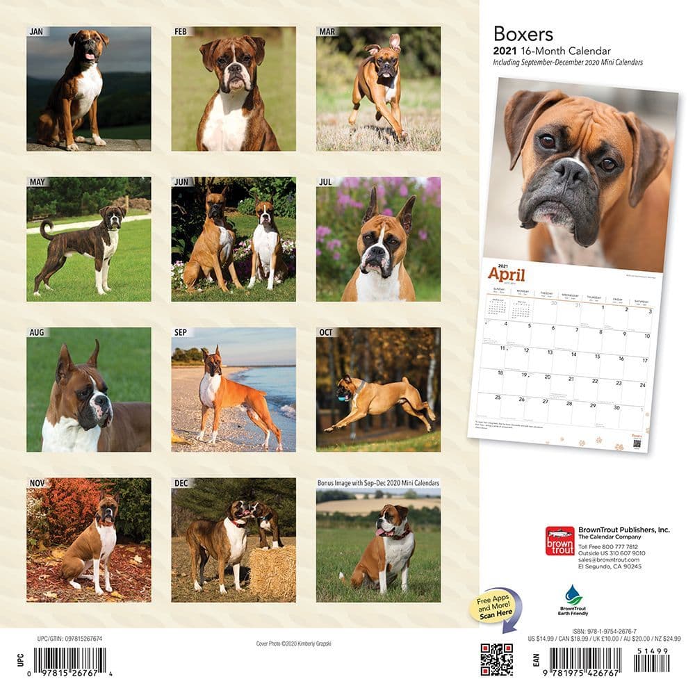 Boxers Wall Calendar Calendars Com