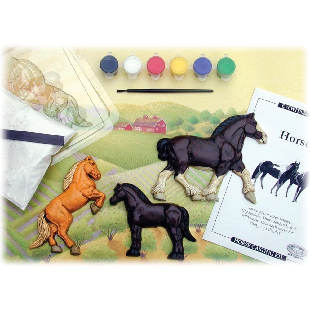 Eyewitness Kit Horse First Alternate Image
