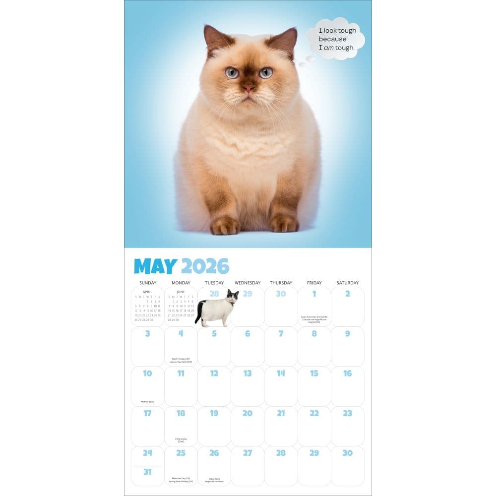 Chonkers 2026 Wall Calendar Second Alternate Image