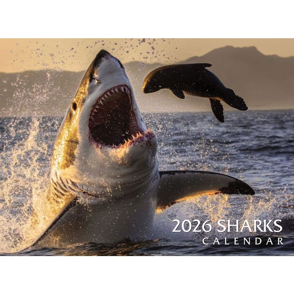 Sharks 2026 Wall Calendar Main Product Image