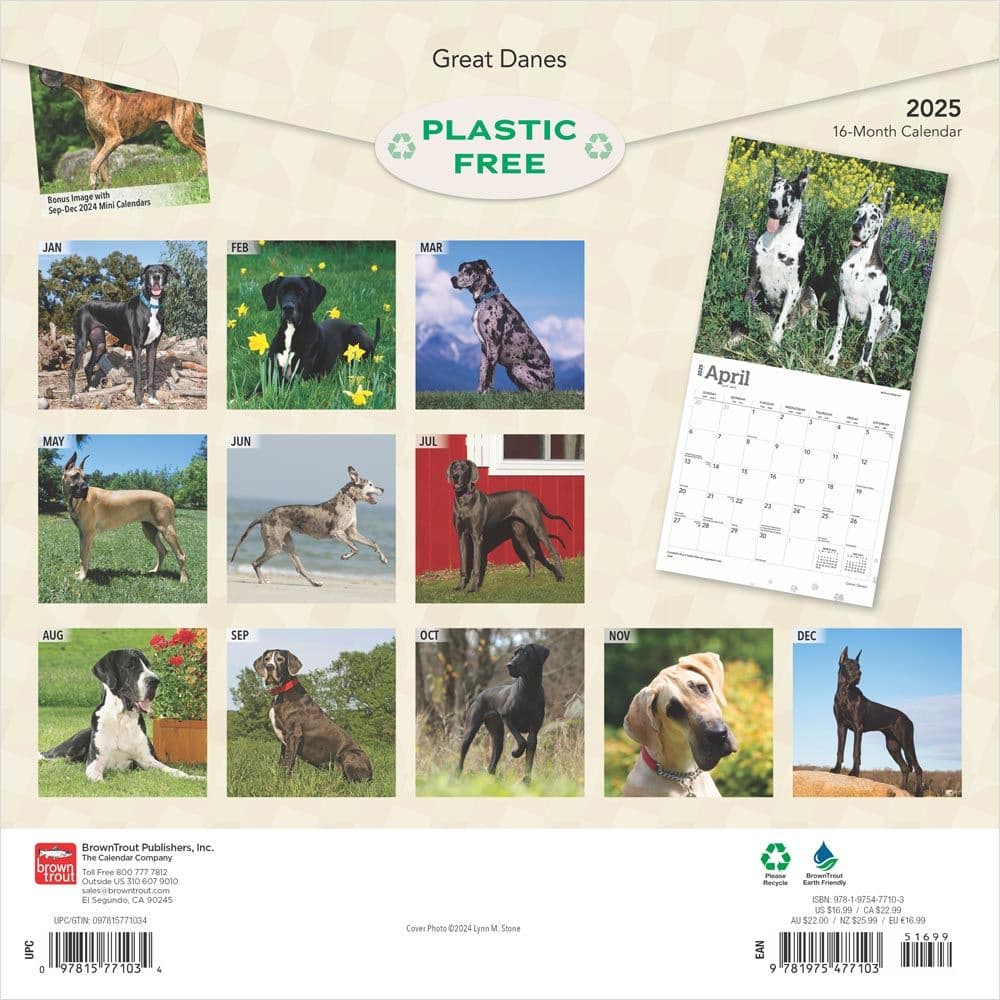Great Danes 2025 Wall Calendar First Alternate Image width=&quot;1000&quot; height=&quot;1000&quot;