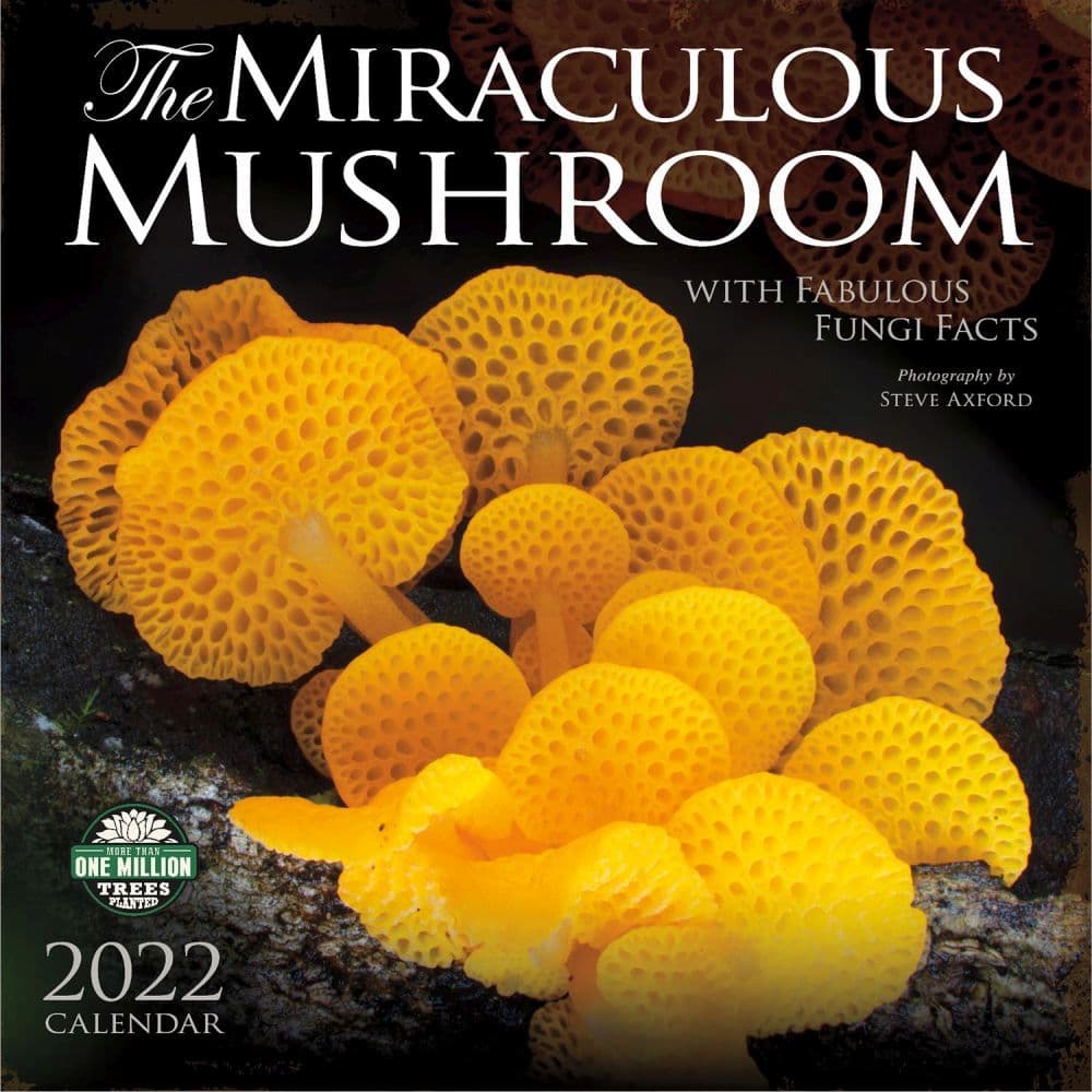 Miraculous Mushroom 2022 Wall Calendar