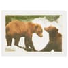 image Photo Bear Friends Blank Card First Alternate Image width=&quot;1000&quot; height=&quot;1000&quot;